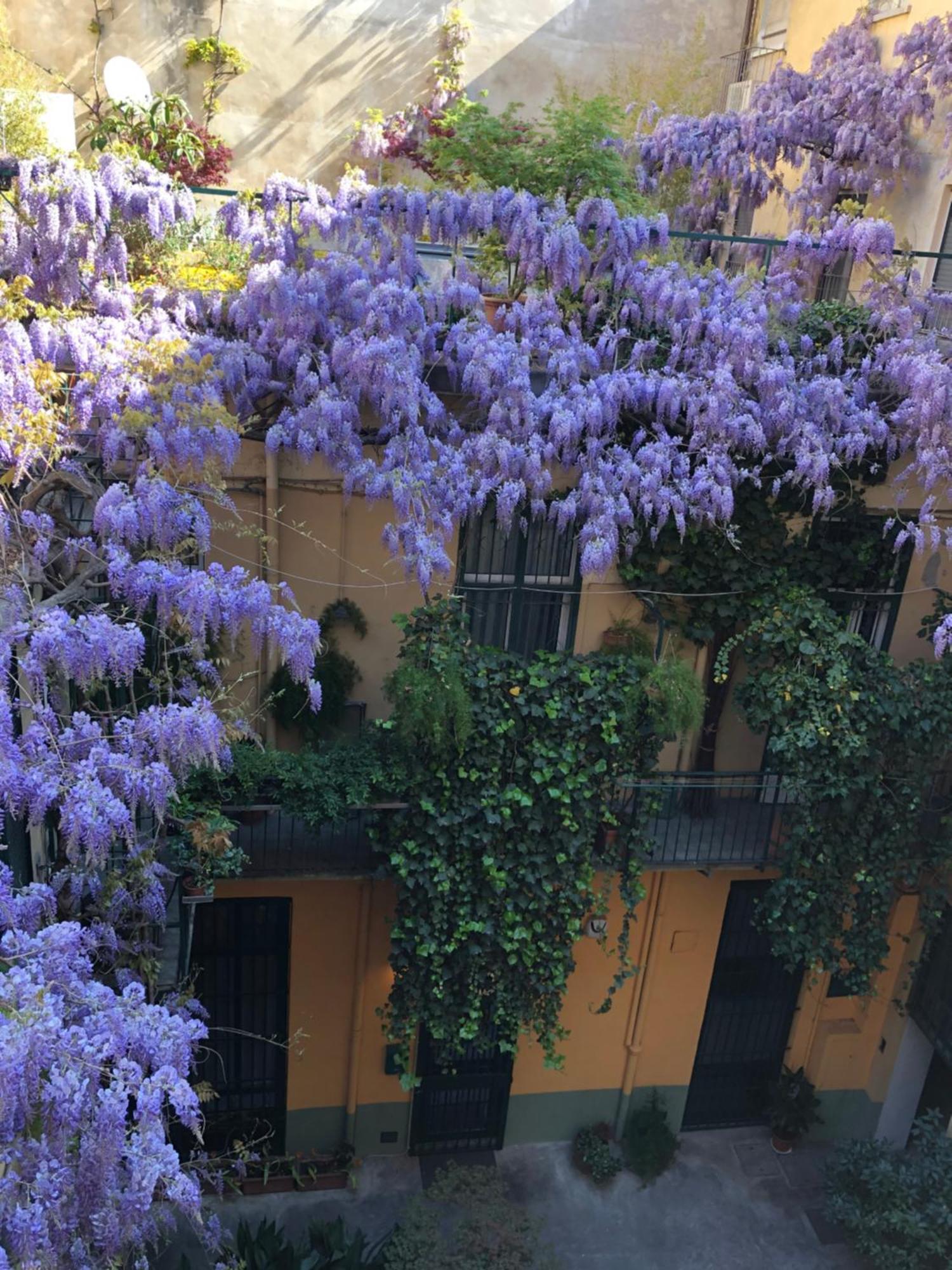 La Casa Degli Angeli Apartment Turin Exterior photo