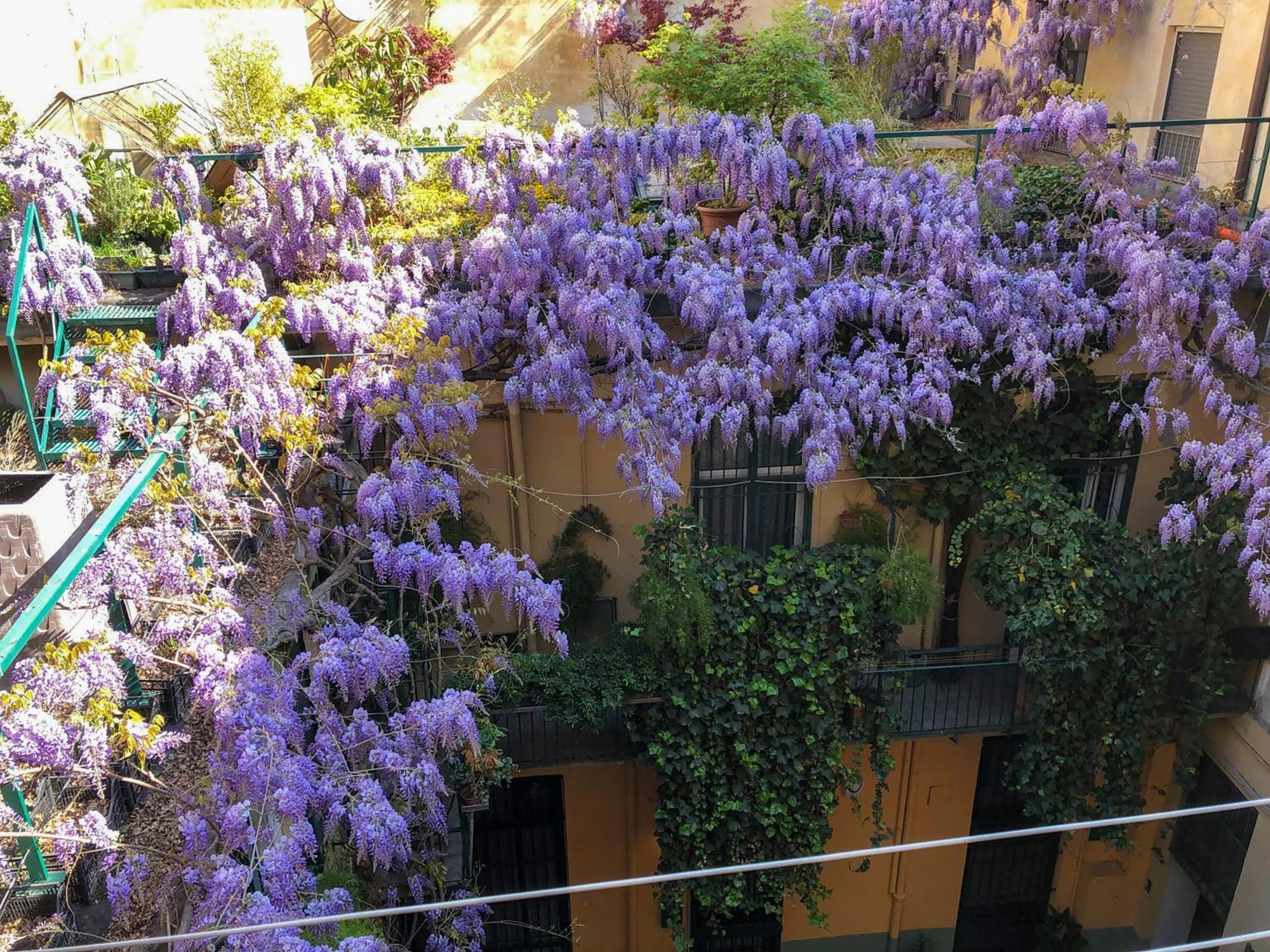 La Casa Degli Angeli Apartment Turin Exterior photo